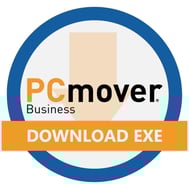 Download exe button